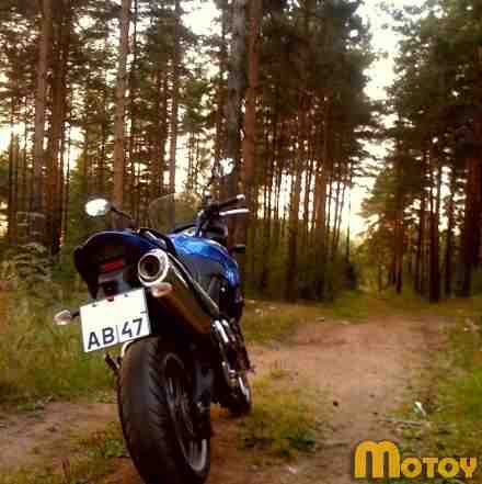 Triumph Tiger 1050 Triumph Tiger 1050