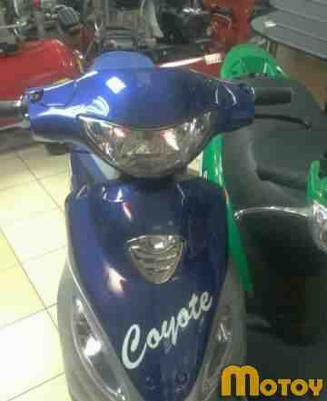 Coyte Coyte