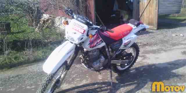 Продаю Хонда XR 250 Продаю Хонда XR 250