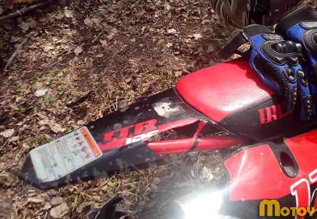 Ирбис ttr 125 Ирбис ttr 125