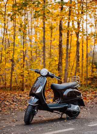 Веспа lx 150 i.e. Туринг Веспа lx 150 i.e. Туринг