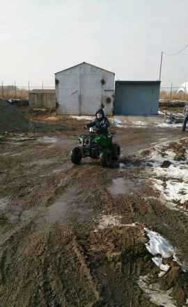 Квадроцикл Ирбис ATV110U Квадроцикл Ирбис ATV110U