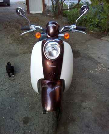 Хонда Scoopy Хонда Scoopy