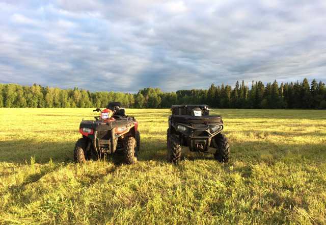 Polaris Sportsman 800 Forest Polaris Sportsman 800 Forest